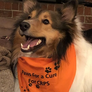 Fundraising Page: Tara Smith